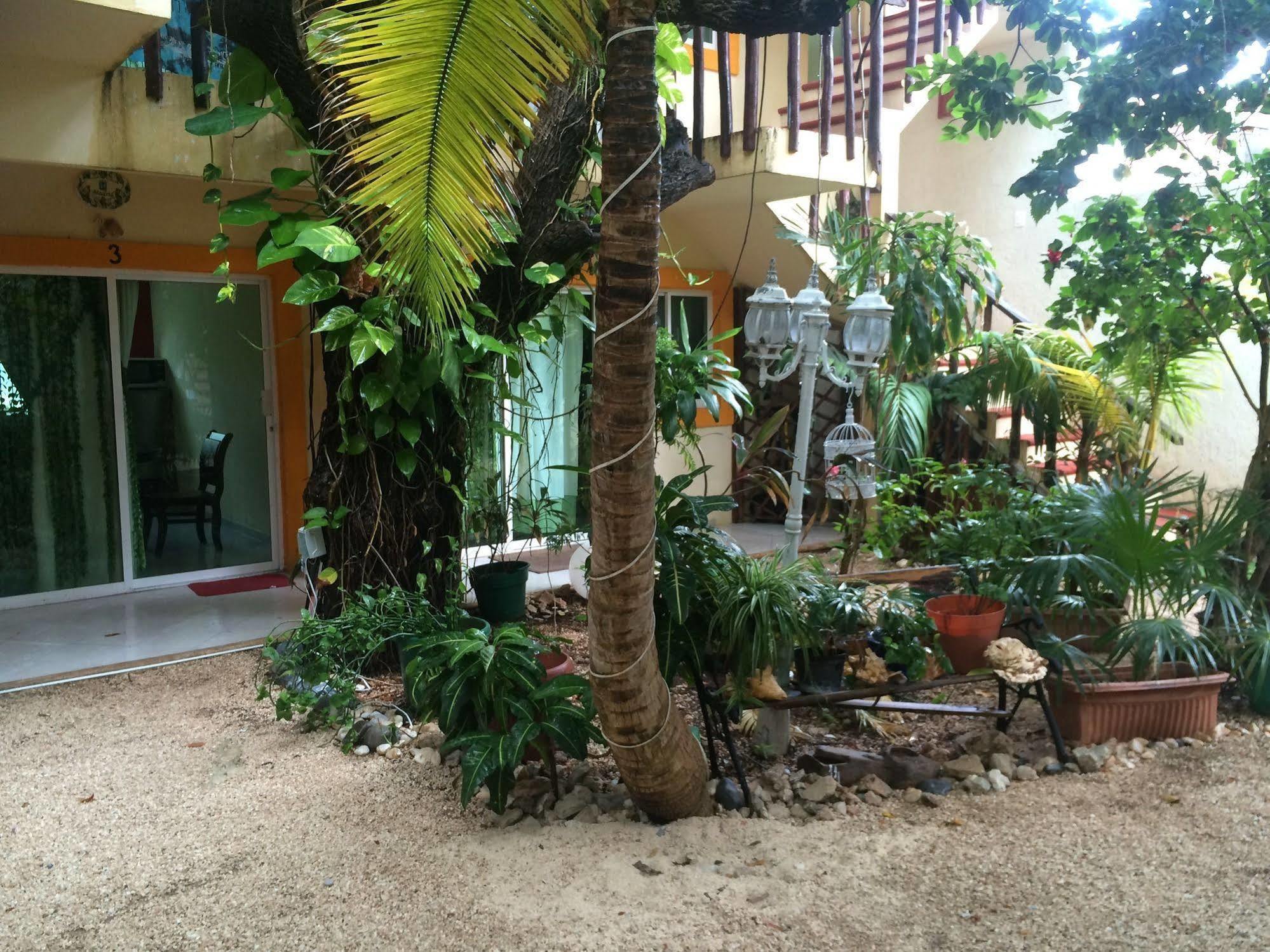 Hotel Caracol Isla Mujeres Esterno foto